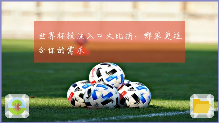世界杯投注入口大比拼，哪家更适合你的需求