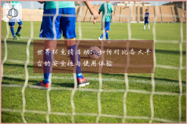 世界杯竞猜活动：如何对比各大平台的安全性与使用体验