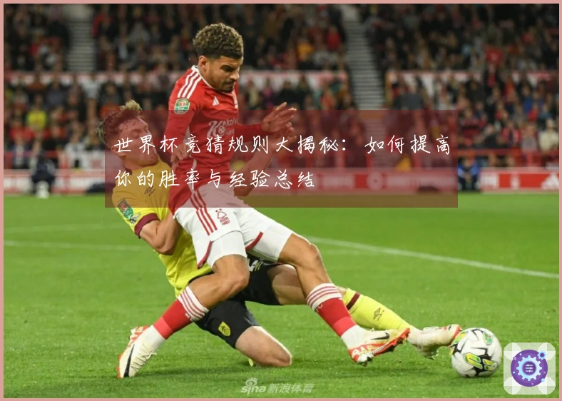 世界杯竞猜规则大揭秘：如何提高你的胜率与经验总结