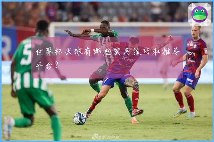 世界杯买球有哪些实用技巧和推荐平台？