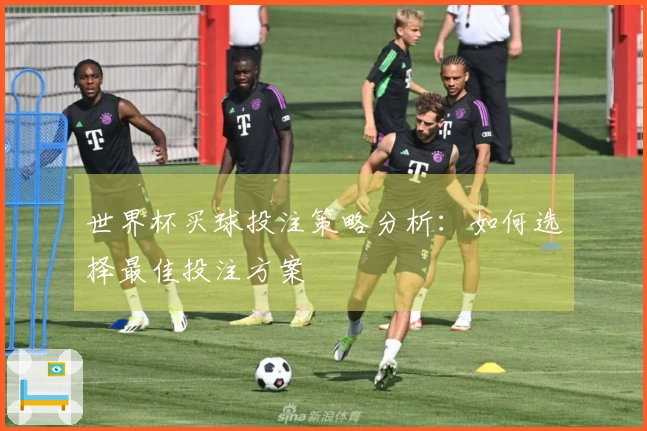 世界杯买球投注策略分析：如何选择最佳投注方案