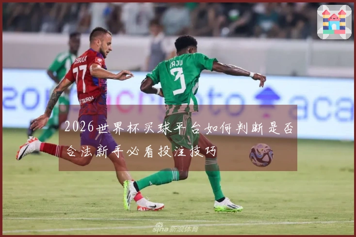 2026世界杯买球平台如何判断是否合法新手必看投注技巧