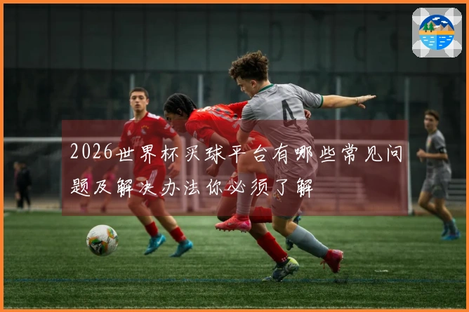 2026世界杯买球平台有哪些常见问题及解决办法你必须了解