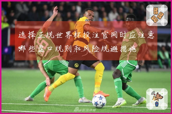 选择正规世界杯投注官网时应注意哪些盘口规则和风险规避措施