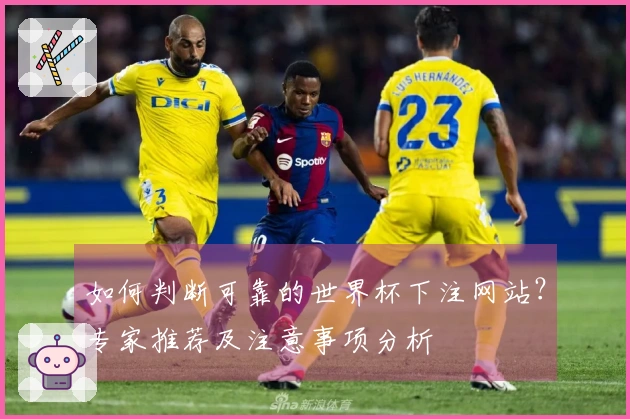 如何判断可靠的世界杯下注网站？专家推荐及注意事项分析