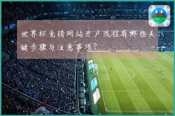 世界杯竞猜网站开户流程有哪些关键步骤与注意事项？
