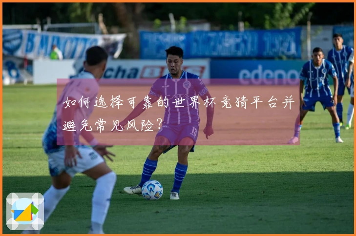 如何选择可靠的世界杯竞猜平台并避免常见风险？