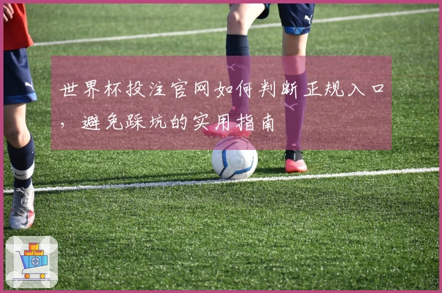 世界杯投注官网如何判断正规入口，避免踩坑的实用指南