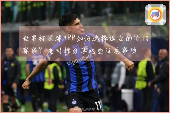 世界杯买球APP如何选择适合的冷门赛事？老司机分享这些注意事项