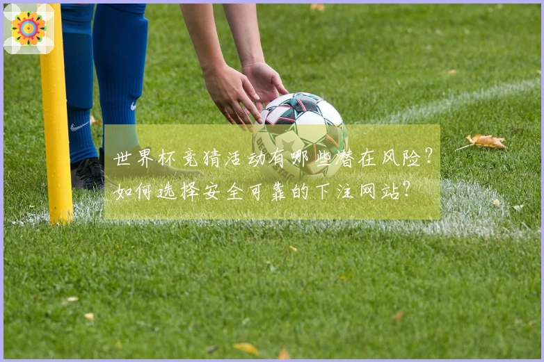 世界杯竞猜活动有哪些潜在风险？如何选择安全可靠的下注网站？