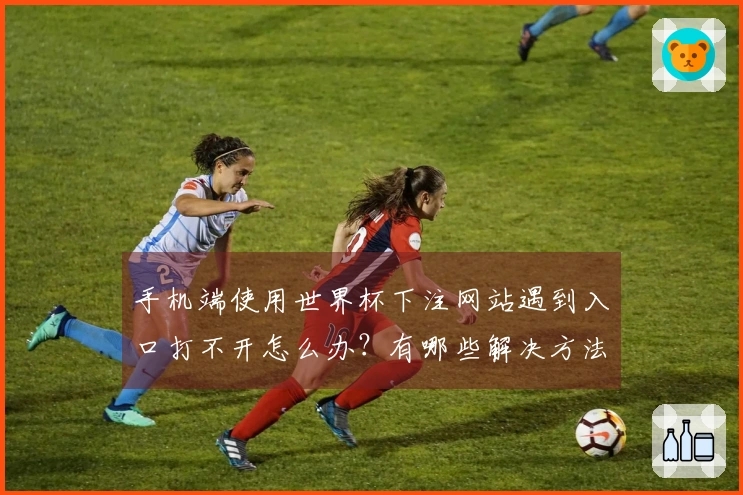 手机端使用世界杯下注网站遇到入口打不开怎么办？有哪些解决方法和注意事项