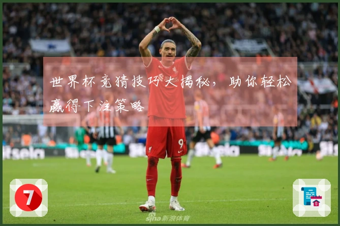 世界杯竞猜技巧大揭秘，助你轻松赢得下注策略
