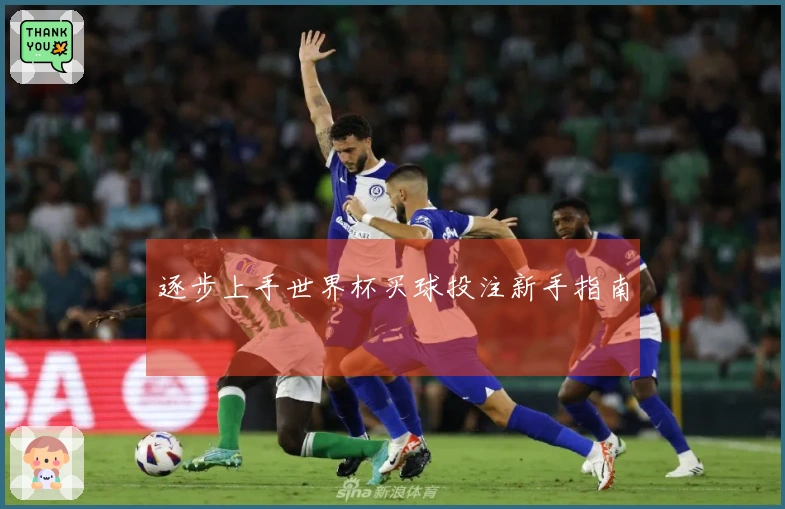逐步上手世界杯买球投注新手指南