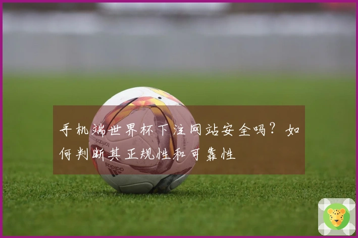 手机端世界杯下注网站安全吗？如何判断其正规性和可靠性