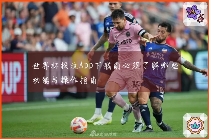 世界杯投注App下载前必须了解哪些功能与操作指南