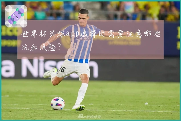世界杯买球app选择时需要注意哪些坑和风险？