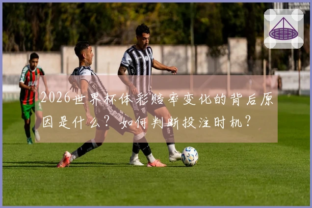 2026世界杯体彩赔率变化的背后原因是什么？如何判断投注时机？