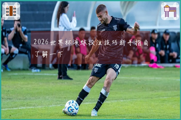 2026世界杯滚球投注技巧新手指南了解一下
