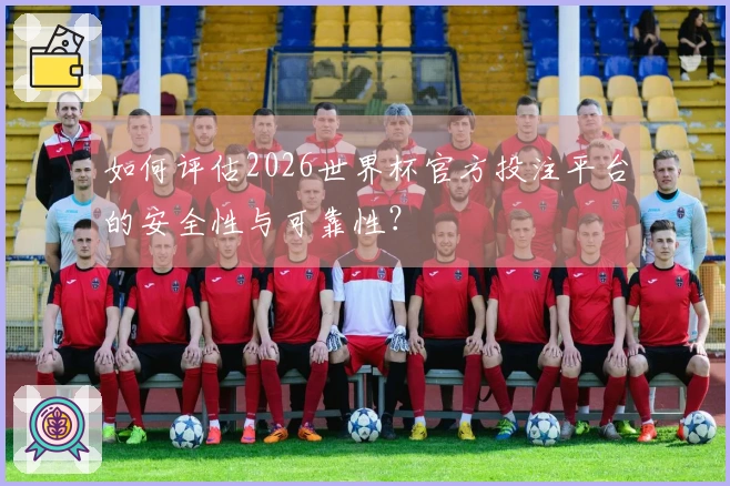 如何评估2026世界杯官方投注平台的安全性与可靠性？