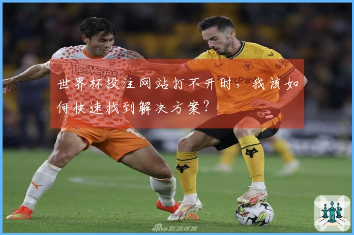 世界杯投注网站打不开时，我该如何快速找到解决方案？