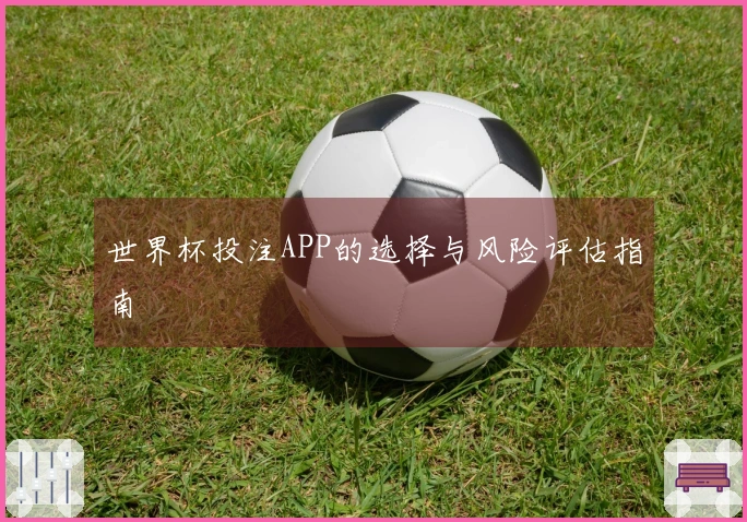 世界杯投注APP的选择与风险评估指南