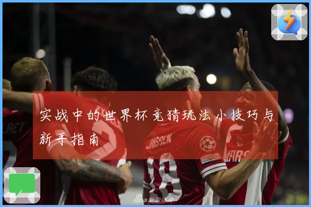 实战中的世界杯竞猜玩法小技巧与新手指南