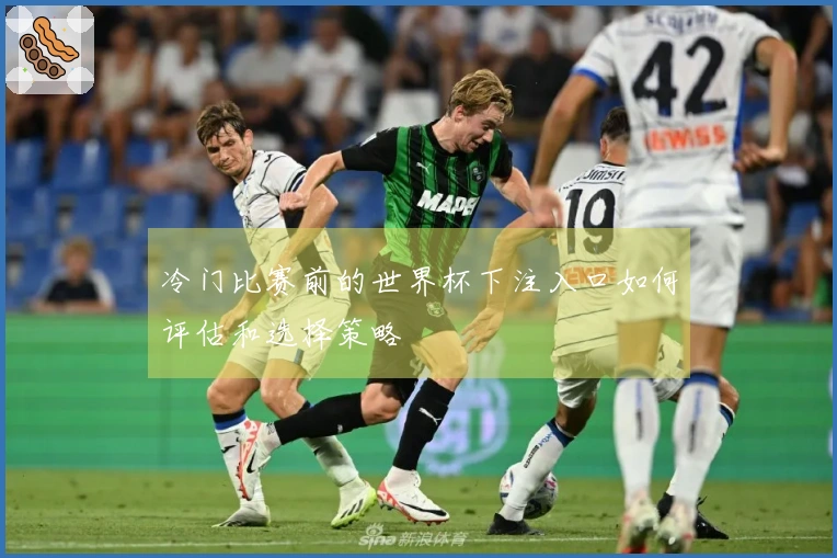 冷门比赛前的世界杯下注入口如何评估和选择策略
