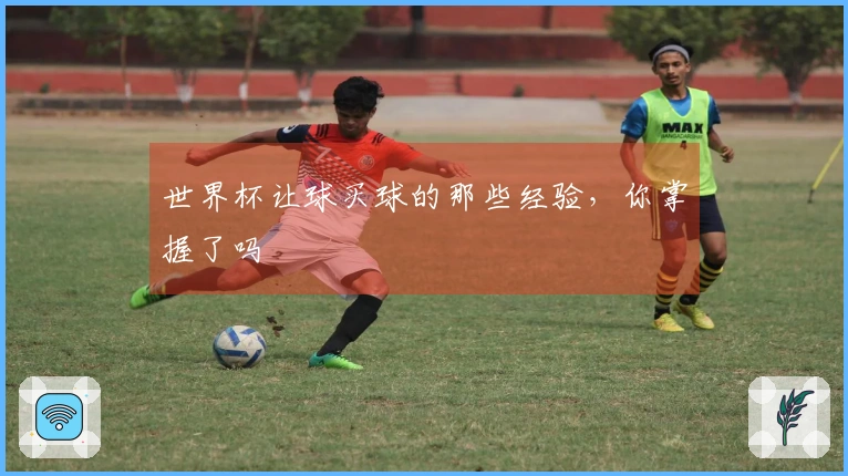 世界杯让球买球的那些经验，你掌握了吗