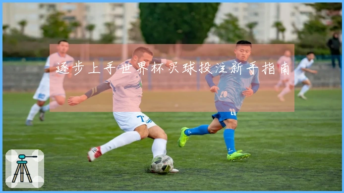 逐步上手世界杯买球投注新手指南