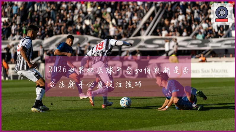 2026世界杯买球平台如何判断是否合法新手必看投注技巧