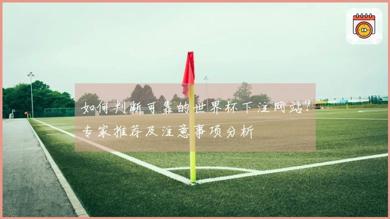 如何判断可靠的世界杯下注网站？专家推荐及注意事项分析