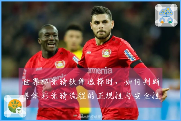 世界杯竞猜软件选择时，如何判断其体彩竞猜流程的正规性与安全性