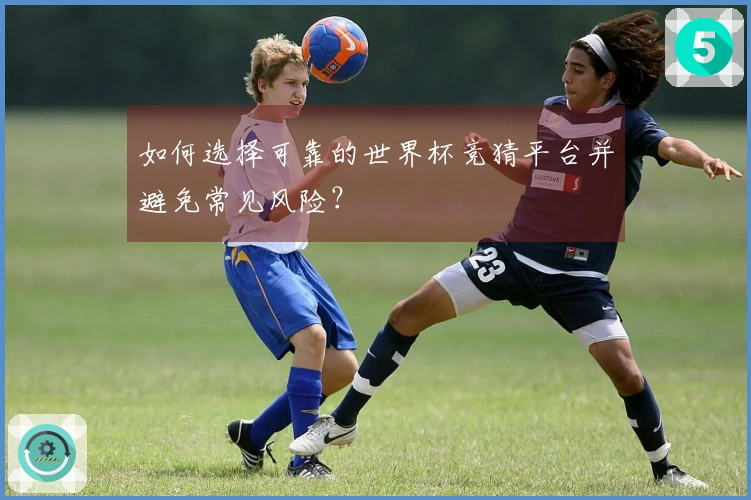 如何选择可靠的世界杯竞猜平台并避免常见风险？