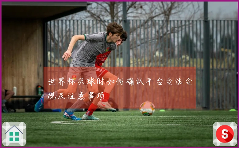 世界杯买球时如何确认平台合法合规及注意事项