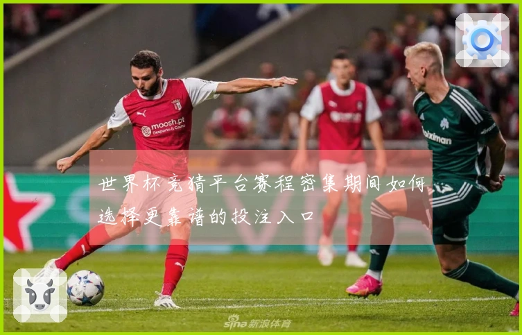 世界杯竞猜平台赛程密集期间如何选择更靠谱的投注入口