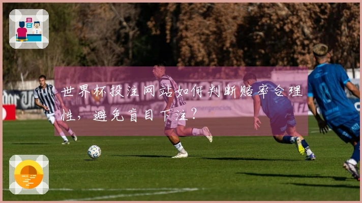 世界杯投注网站如何判断赔率合理性，避免盲目下注？