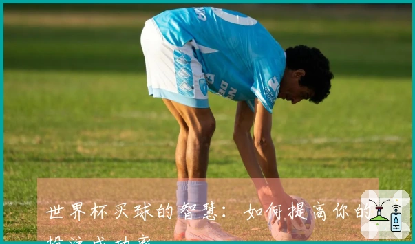 世界杯买球的智慧：如何提高你的投注成功率