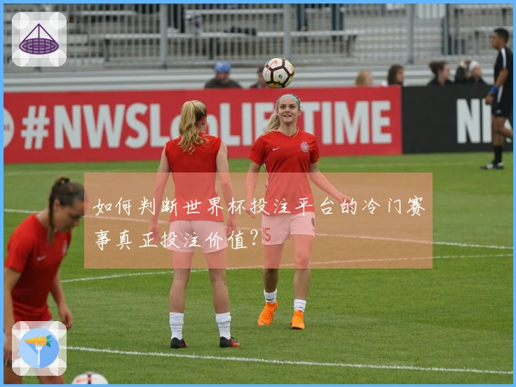 如何判断世界杯投注平台的冷门赛事真正投注价值？