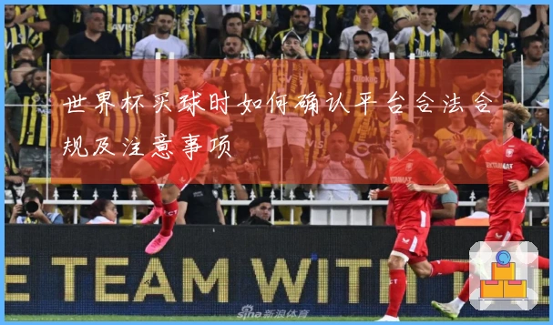 世界杯买球时如何确认平台合法合规及注意事项