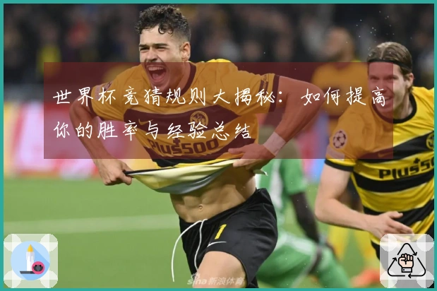 世界杯竞猜规则大揭秘：如何提高你的胜率与经验总结